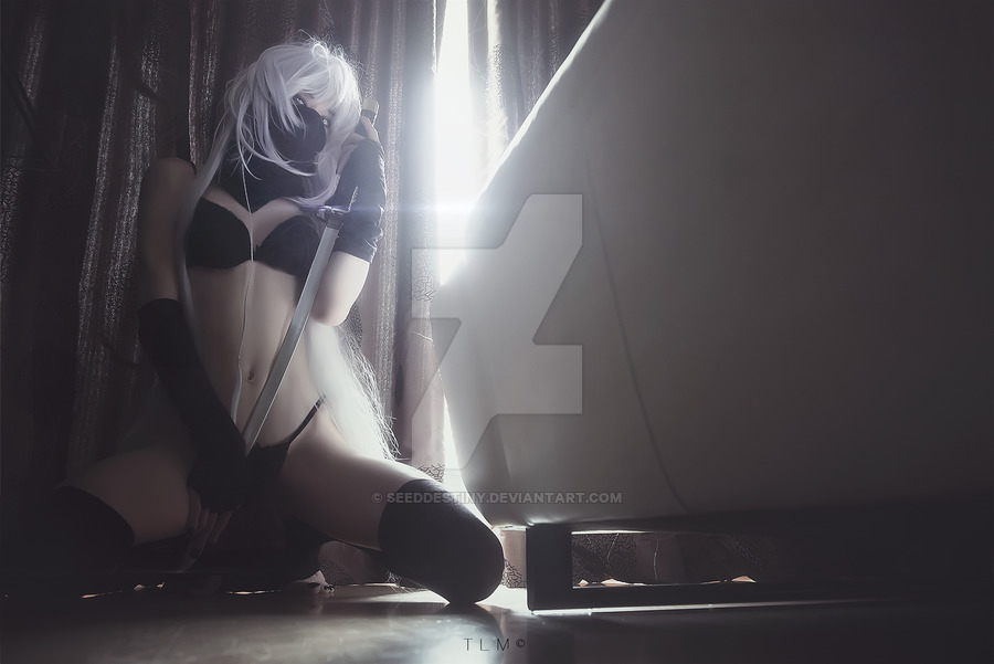 cosplay 2