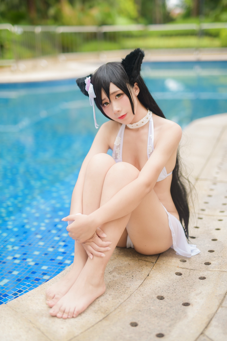 獒犬 6