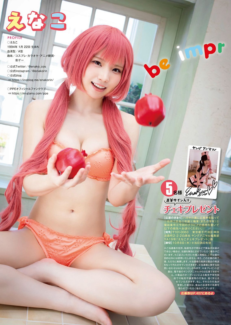 enako 6
